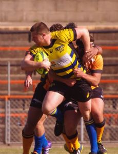 Paddy Ryan (rugby union)