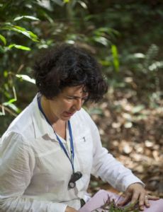 Daniela Cristina Zappi