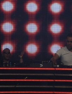 Wildstylez