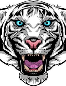 I Am Wildcat