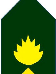 Aziz Ahmed (general)