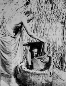 Muhumusa