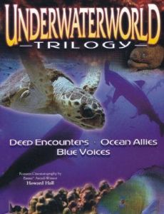 Underwater Impressions