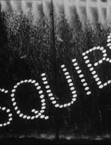 Squibs