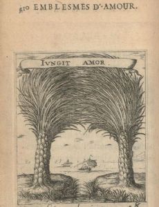 Albert Flamen