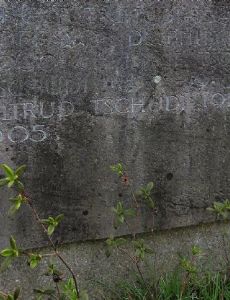 Rudolf Tschudi