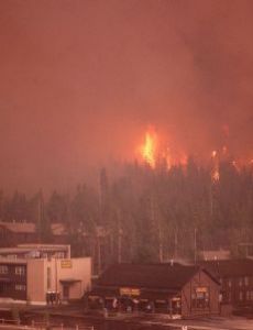 Yellowstone fires of 1988