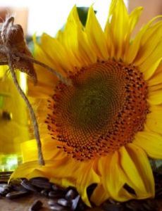 Sunflower oil
