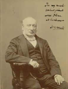 David Woolf Marks