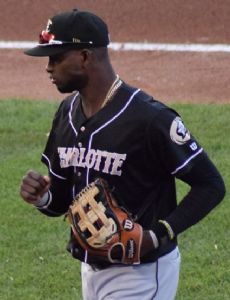 Luis Robert