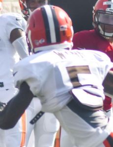 Shane Wynn