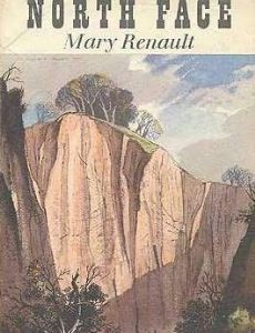 The North Face (novel)