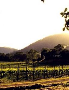 Calistoga AVA