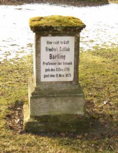 Friedrich Gottlieb Bartling