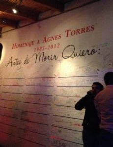 Agnés Torres Hernández