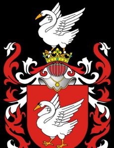 Stanisław Dunin-Karwicki