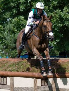 Chris Burton (equestrian)