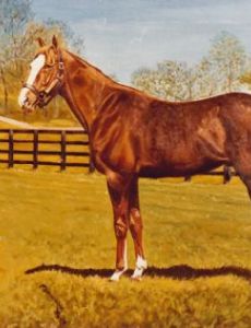 Prix du Muguet