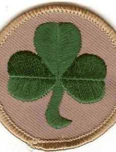 38th (Irish) Brigade