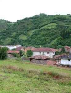 Tuña
