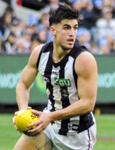 Brayden Maynard