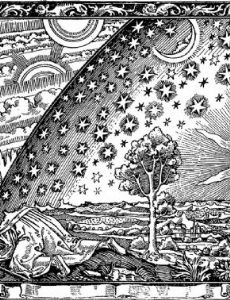 Cosmos