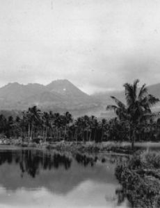 South Tarogong