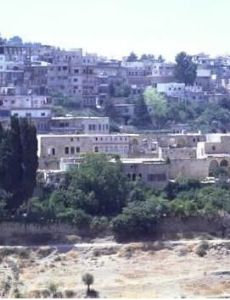 Hasbaya