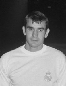 Vicente Miera