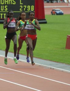 Viola Kibiwot