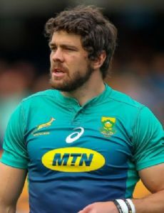 Warren Whiteley
