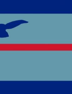 Squadron leader