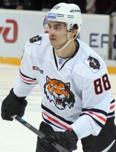 Rinat Ibragimov