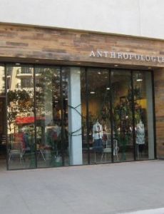 Anthropologie