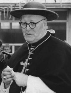 Michael Browne (cardinal)