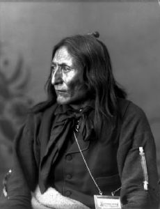 Crowfoot