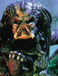 Predator