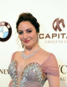 Nermin Al-Fiqy