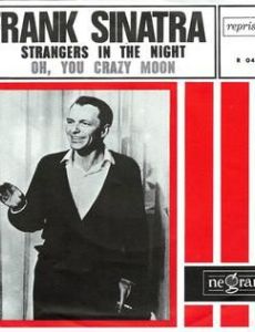 Strangers In The Night