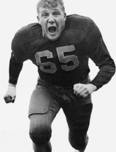 Joe Schmidt