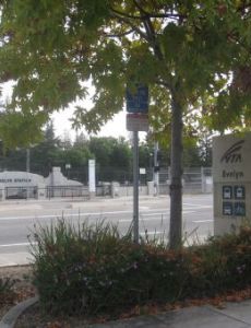 Evelyn station