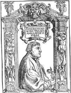 Hieronymus Bock