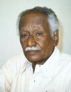 Muhammad Ibrahim Nugud
