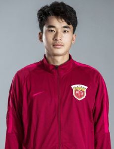 Lei Wenjie