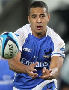 Willie Ripia