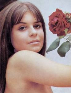 Barbara Halks