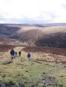 Exmoor