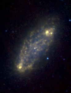 NGC 2976