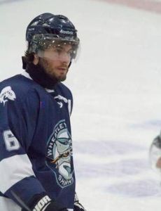Brian Johnson (ice hockey)