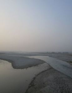 Hasimara